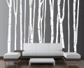 Birch Tree Wall Decal